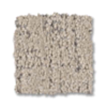 Shaw Bayside Hills Ironstone Pattern Carpet with Pet Perfect-Sample